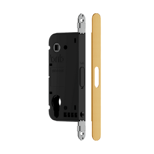 Фурнитура для дверей Магнитный замок Vertical. Цвет Матовое золото PVD. Коллекция Магнитный замок Vertical. Картинка.